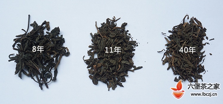 六堡茶槟榔香试饮笔记–三款不同原料、年份的槟榔香六堡茶对冲
