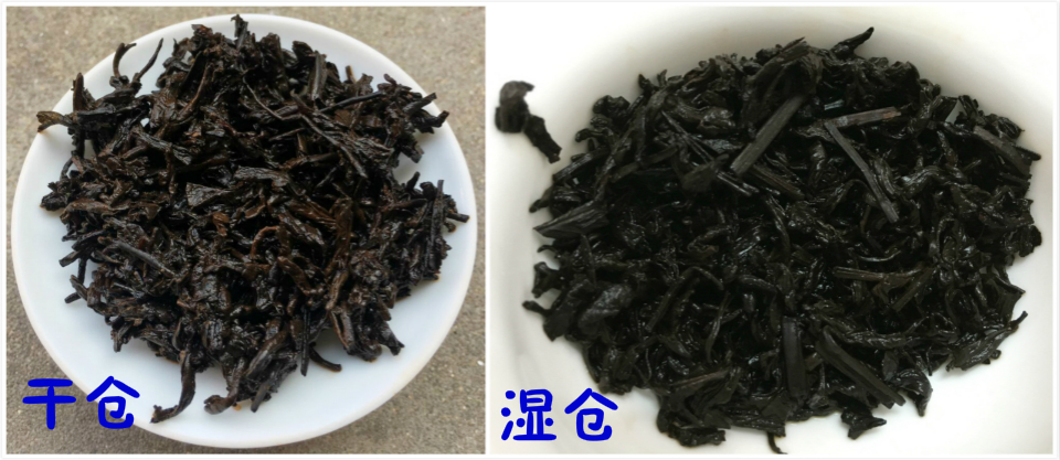 为什么有的六堡茶有水味？冲泡六堡茶的时候如何避免水味？